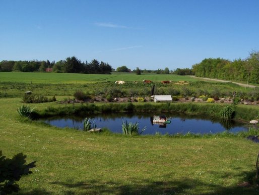 Udsigt fra en af pladserne